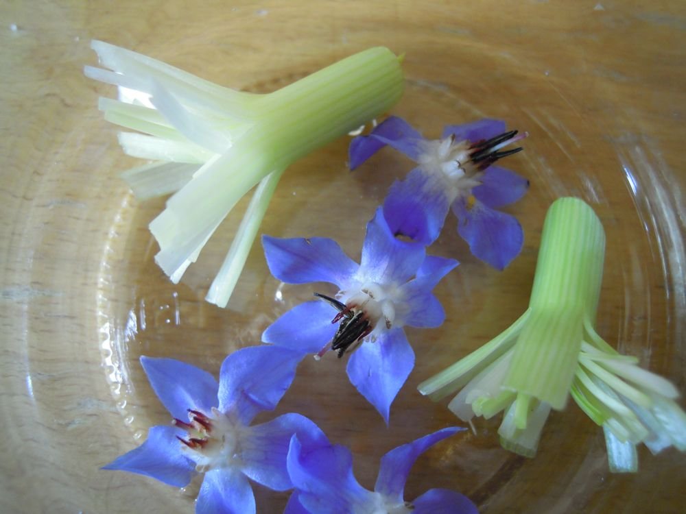 Aceto aromatico fiorito - passo 4