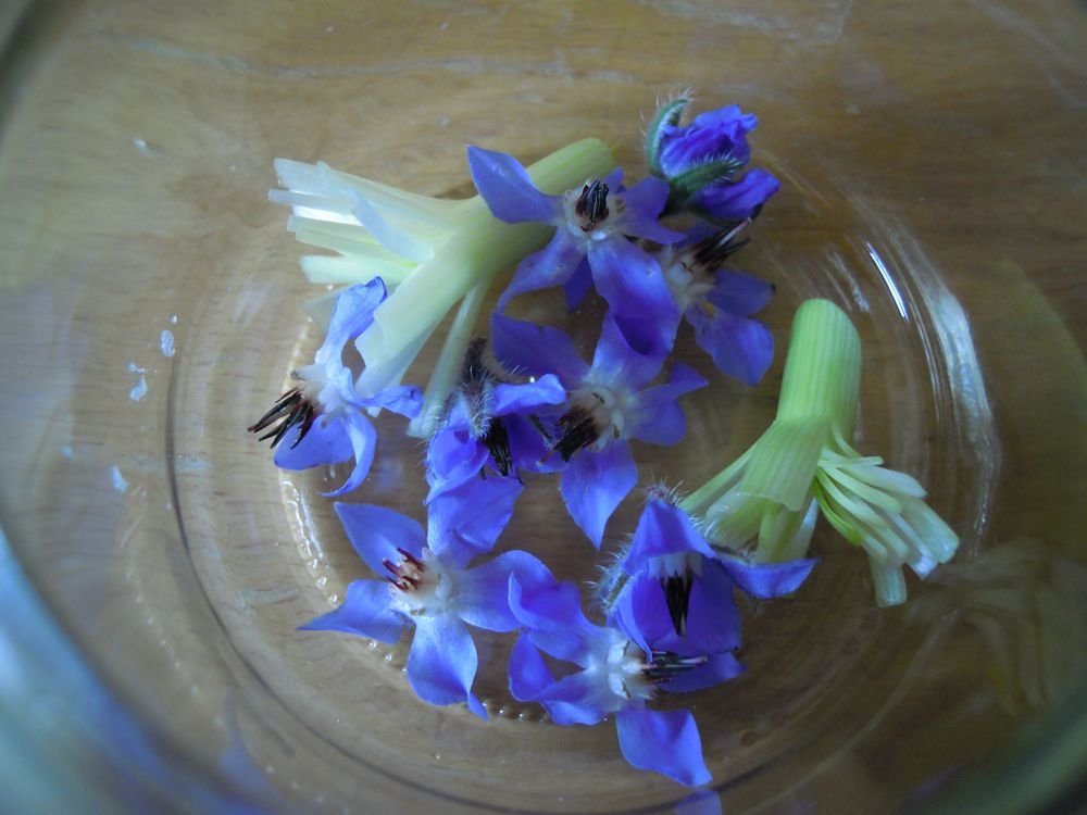 Aceto aromatico fiorito - passo 4