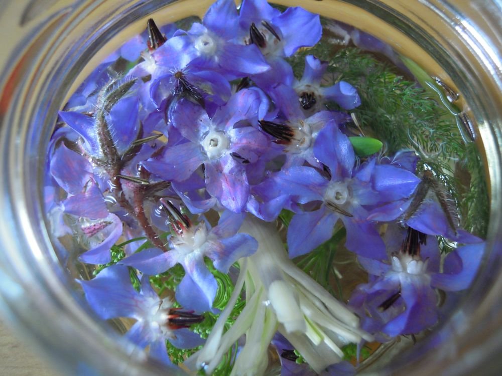 Aceto aromatico fiorito - passo 5
