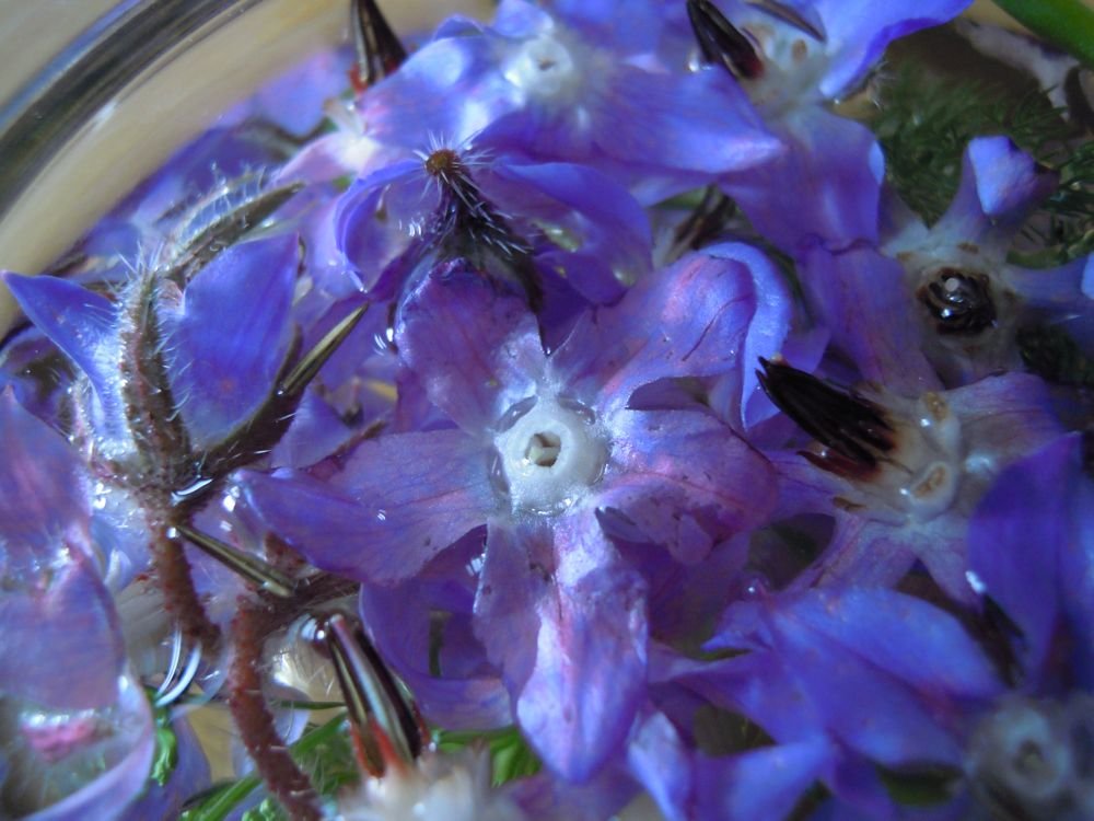 Aceto aromatico fiorito - passo 6