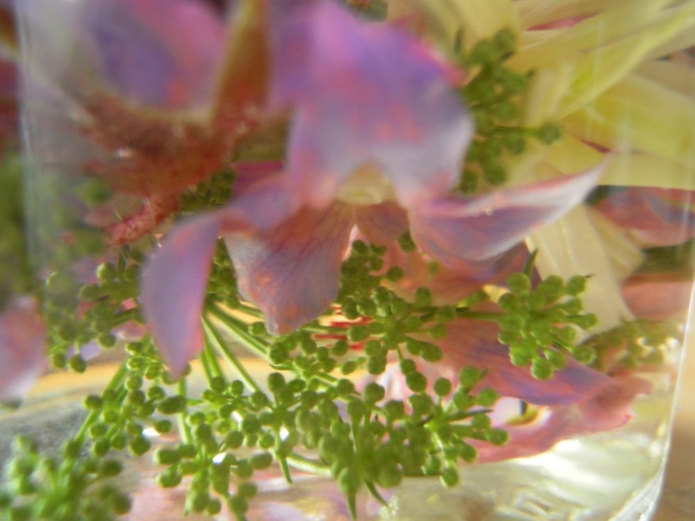 aceto con fiori e foglie 23