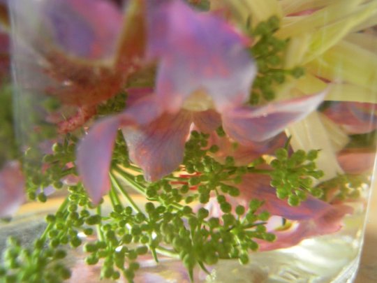 aceto con fiori e foglie 23