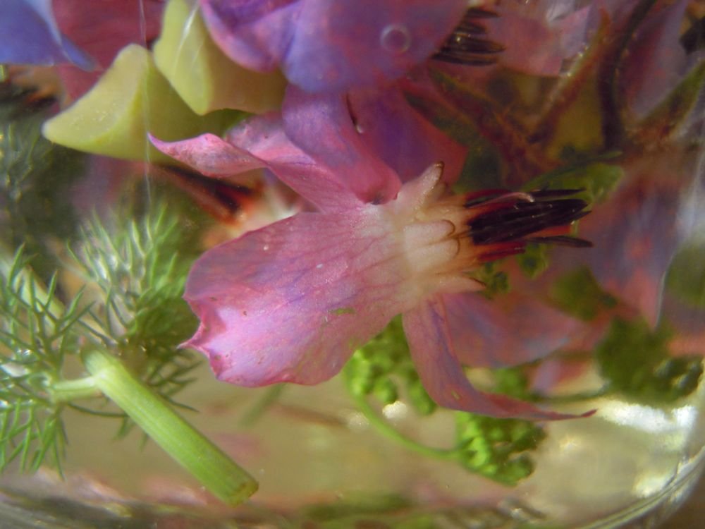 Aceto aromatico fiorito - passo 7