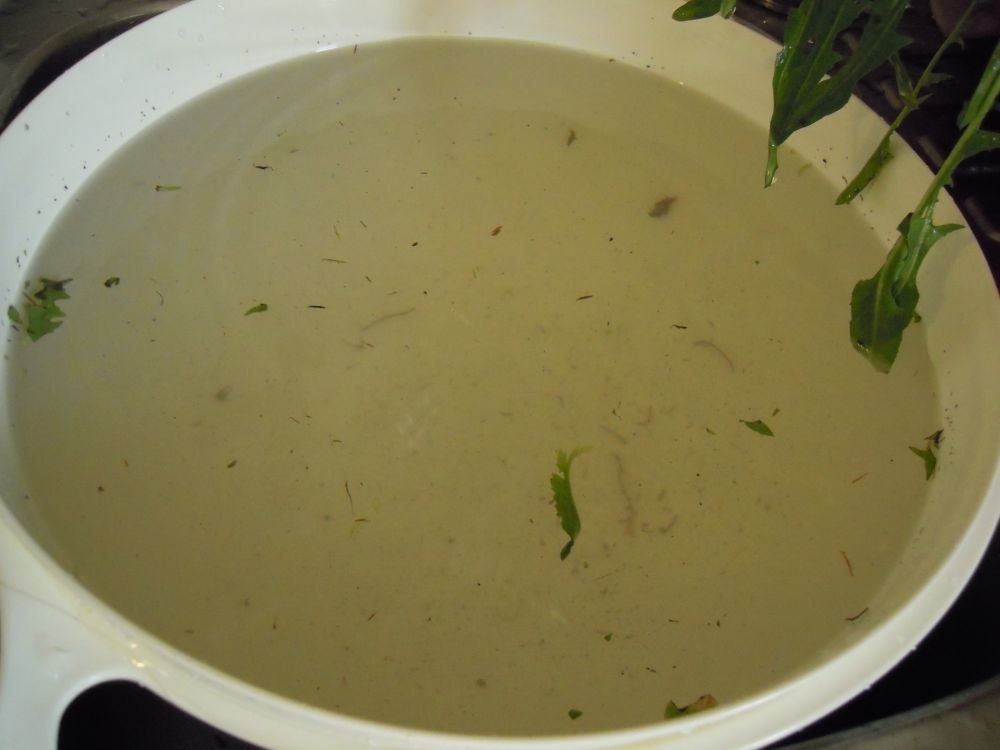 Cicorielle campestri azzise con brodo e polpettine - passo 1