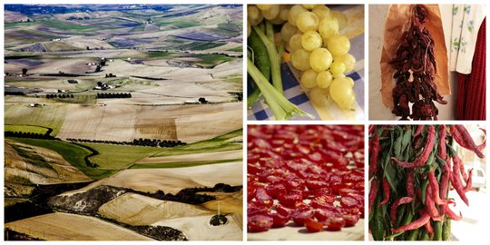 Basilicata Secrets