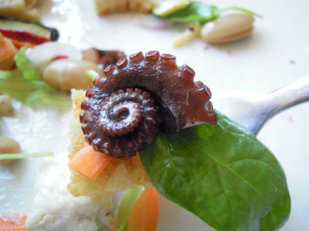 Insalata tiepida di pesce e verdure, ovvero una versione di "Cappon magro" lucana - passo 16