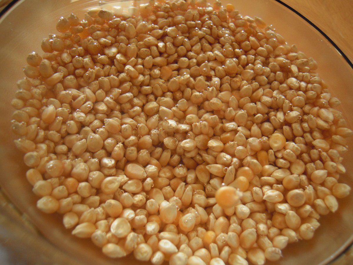 Cervello di candy popcorn per Halloween - passo 2