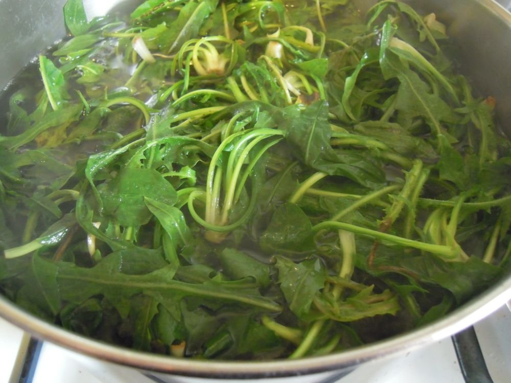 Cicorielle campestri azzise con brodo e polpettine - passo 2