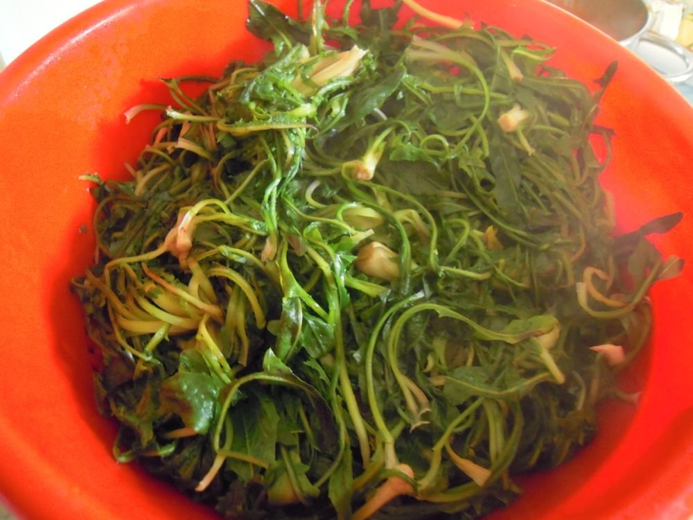 Cicorielle campestri azzise con brodo e polpettine - passo 2