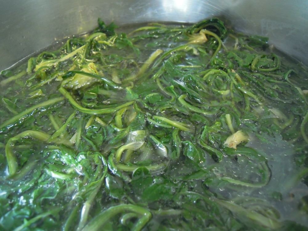 Cicorielle campestri azzise con brodo e polpettine - passo 6