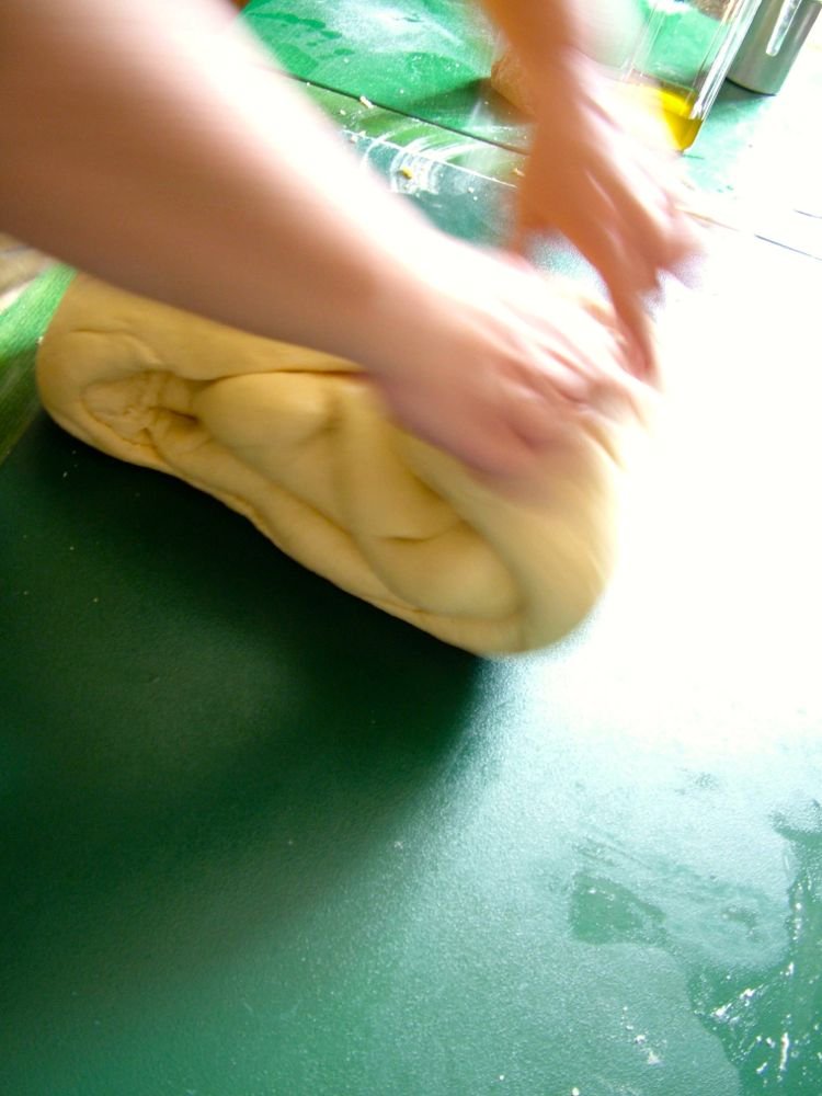 Colomba pomaricana, o scarcella di Pasqua - passo 3