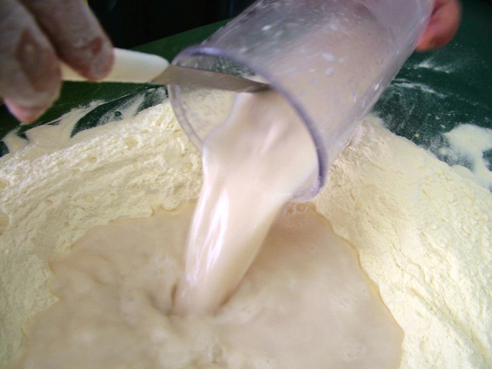 Colomba pomaricana, o scarcella di Pasqua - passo 1