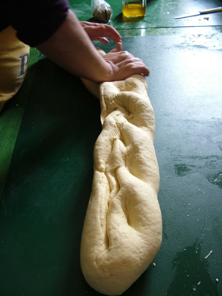 Colomba pomaricana, o scarcella di Pasqua - passo 3