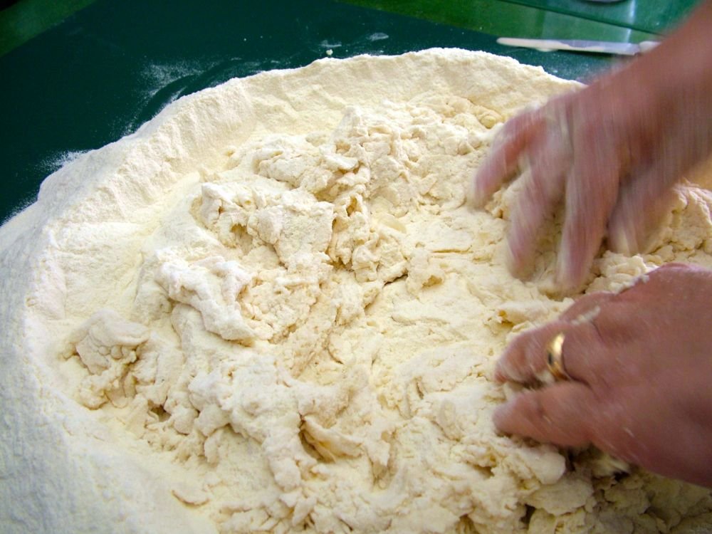 Colomba pomaricana, o scarcella di Pasqua - passo 1