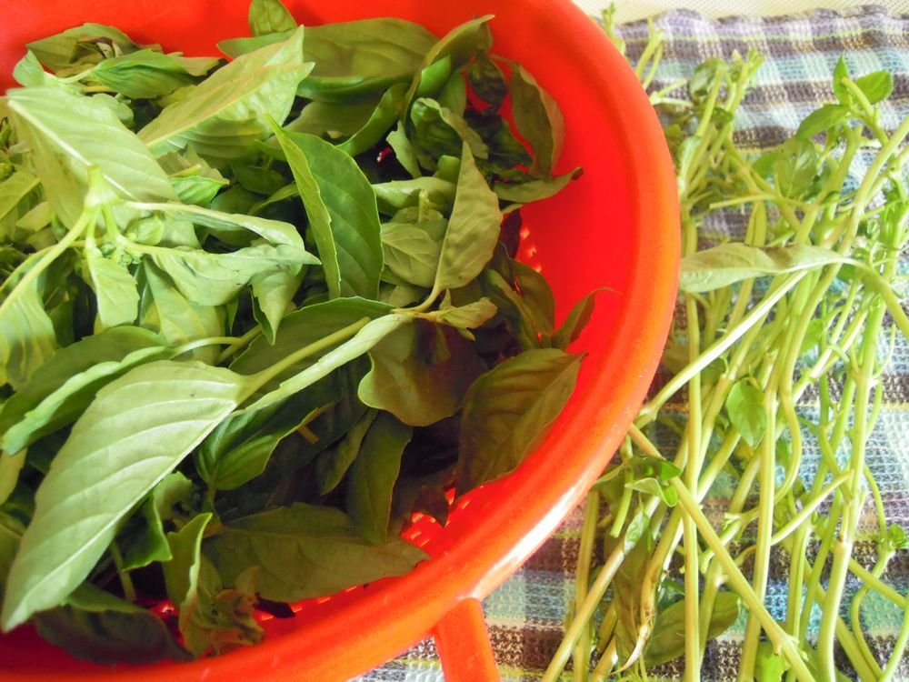 Troccoli con il pesto - passo 4