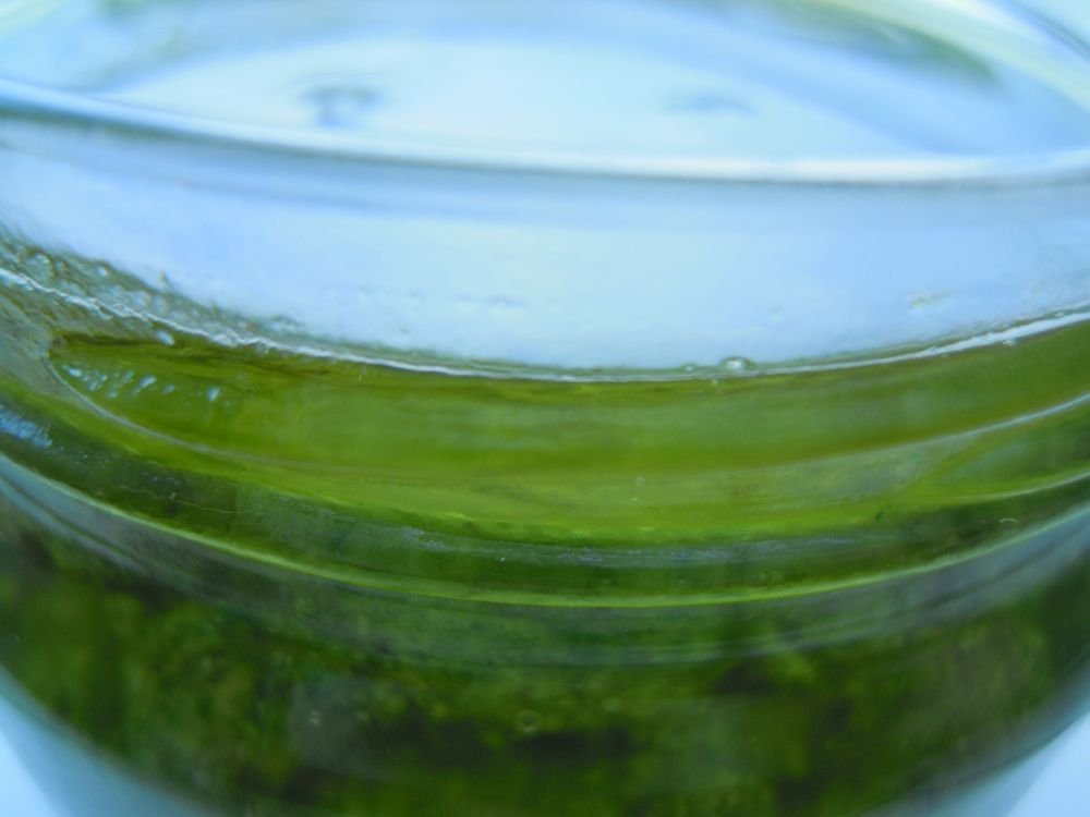 Troccoli con il pesto - passo 6