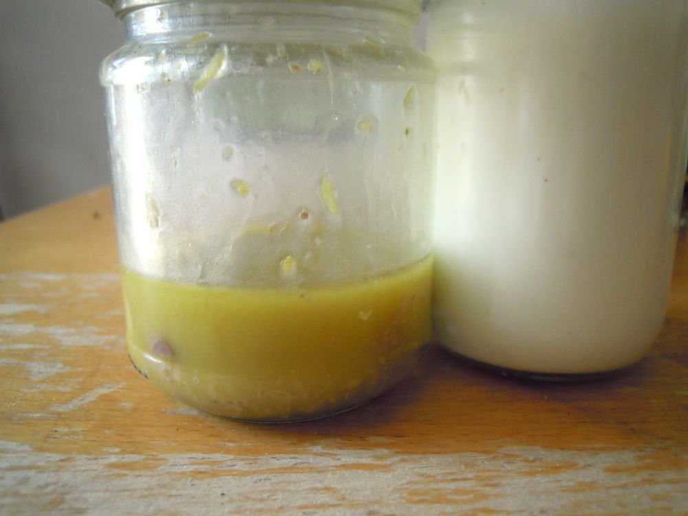 Insalata bigusto di mangiapane, i frutti teneri dell'olmo - passo 5
