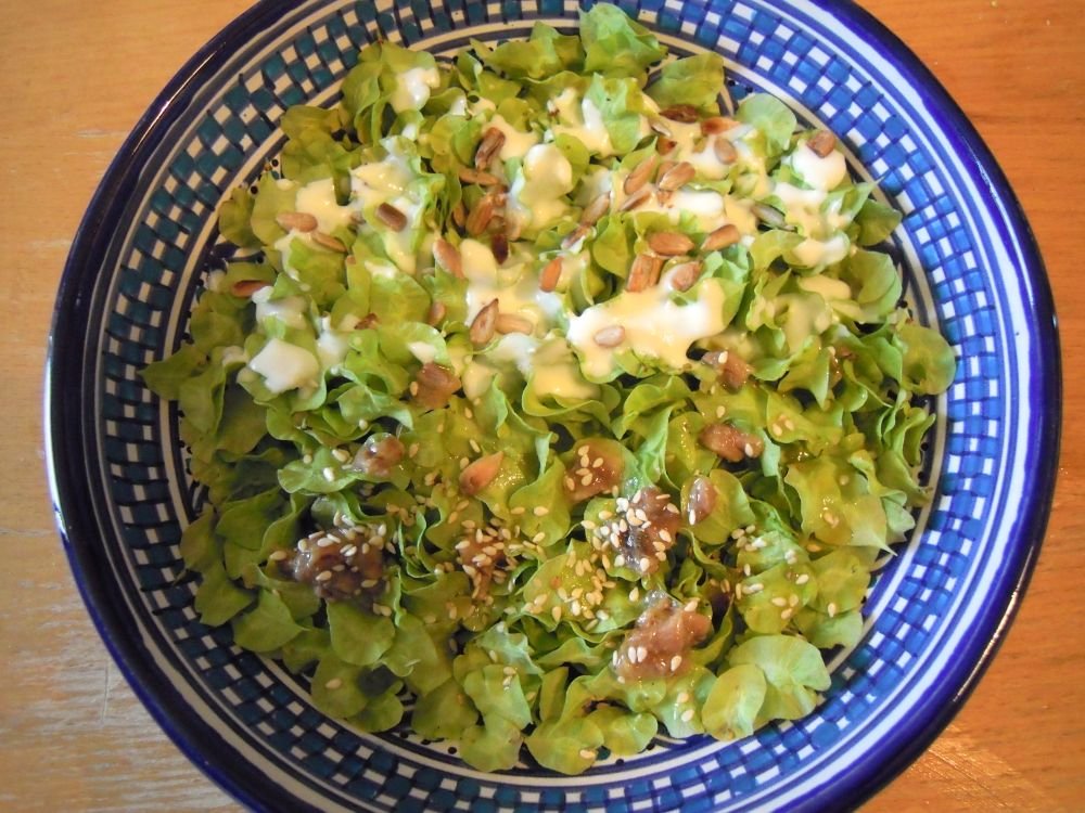 Insalata bigusto di mangiapane, i frutti teneri dell'olmo - passo 7
