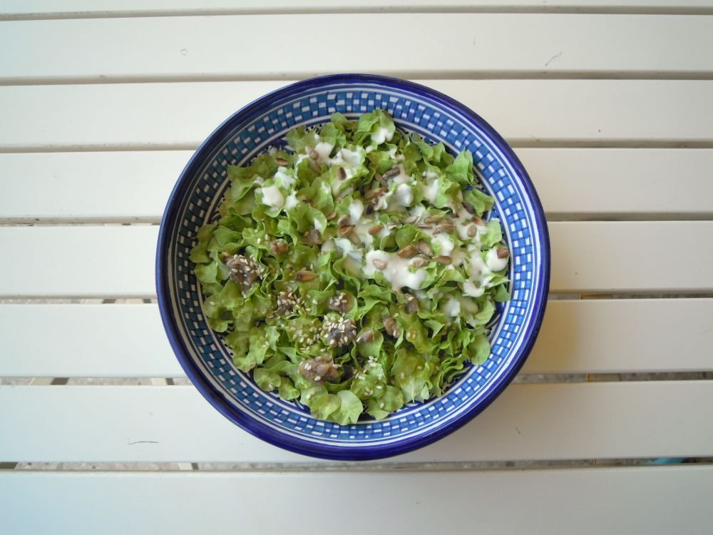 Insalata di mangiapane
