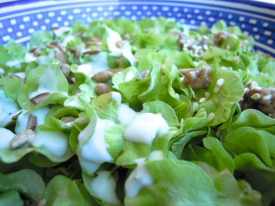 insalata di mangiapane 17