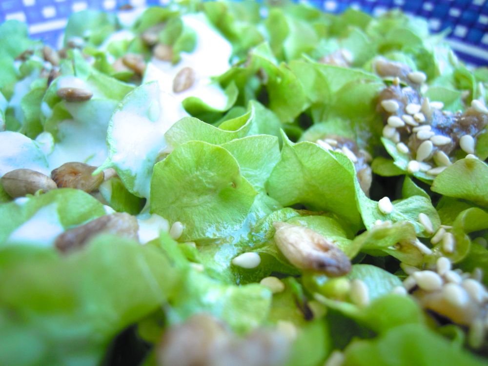 Insalata bigusto di mangiapane, i frutti teneri dell'olmo - passo 7