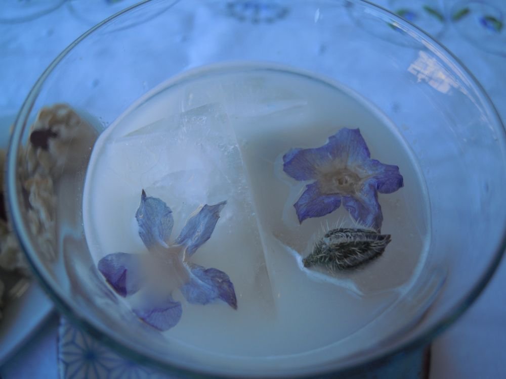 Latte di mandorla con fiorellini di borragine2