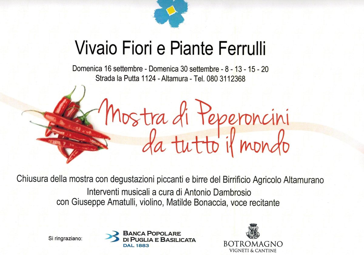 locandina ferrulli