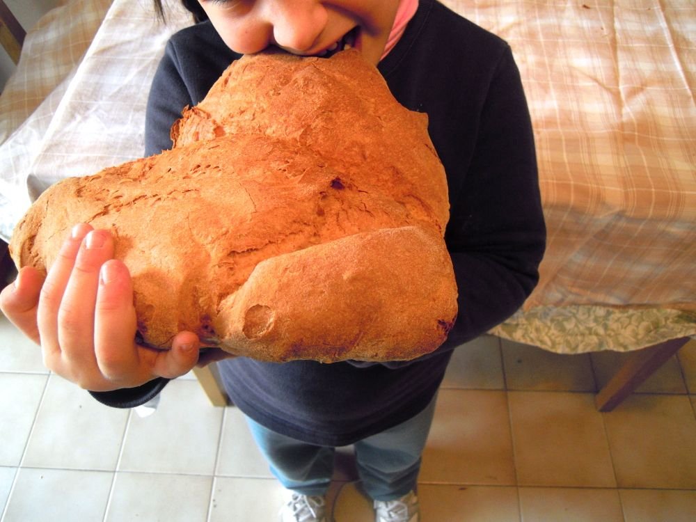 pagnotta morsicata