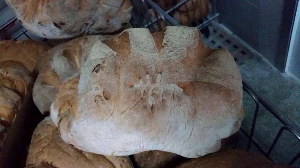 pane 2019