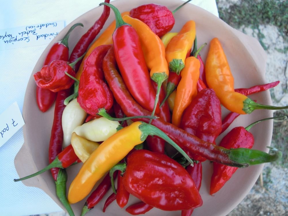piatto di peperoncini