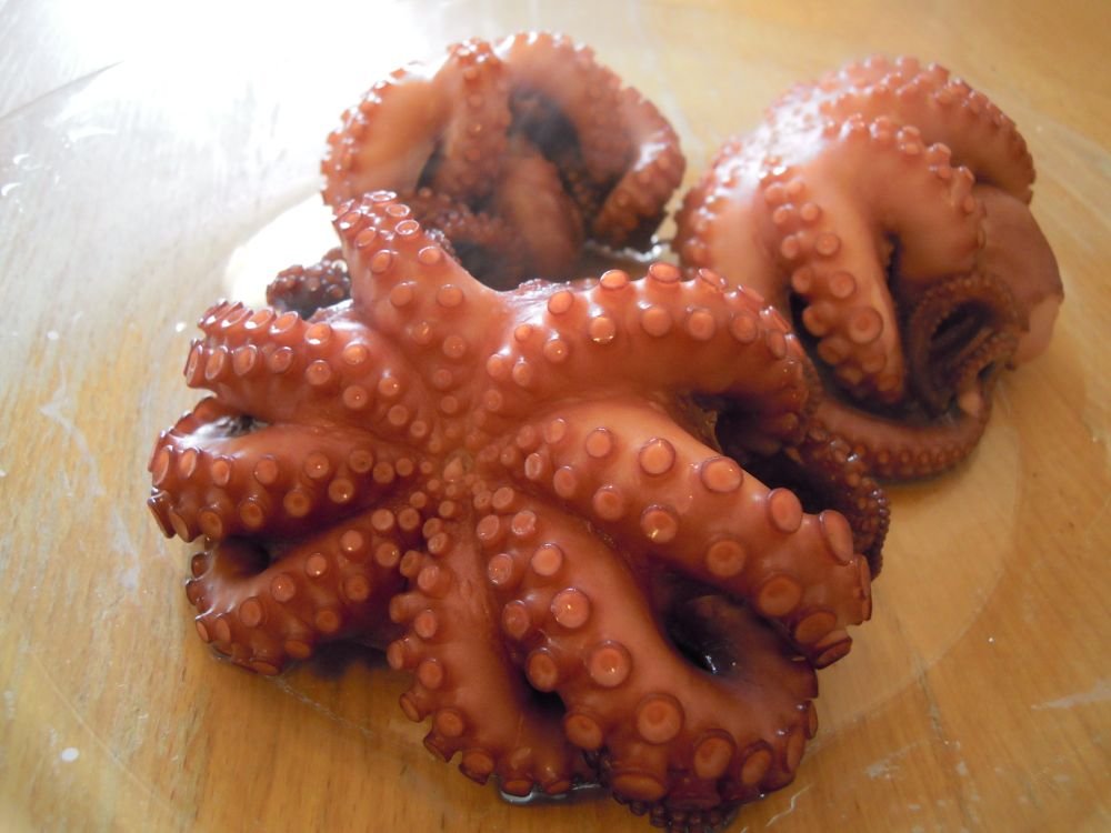 Insalata tiepida di pesce e verdure, ovvero una versione di "Cappon magro" lucana - passo 1