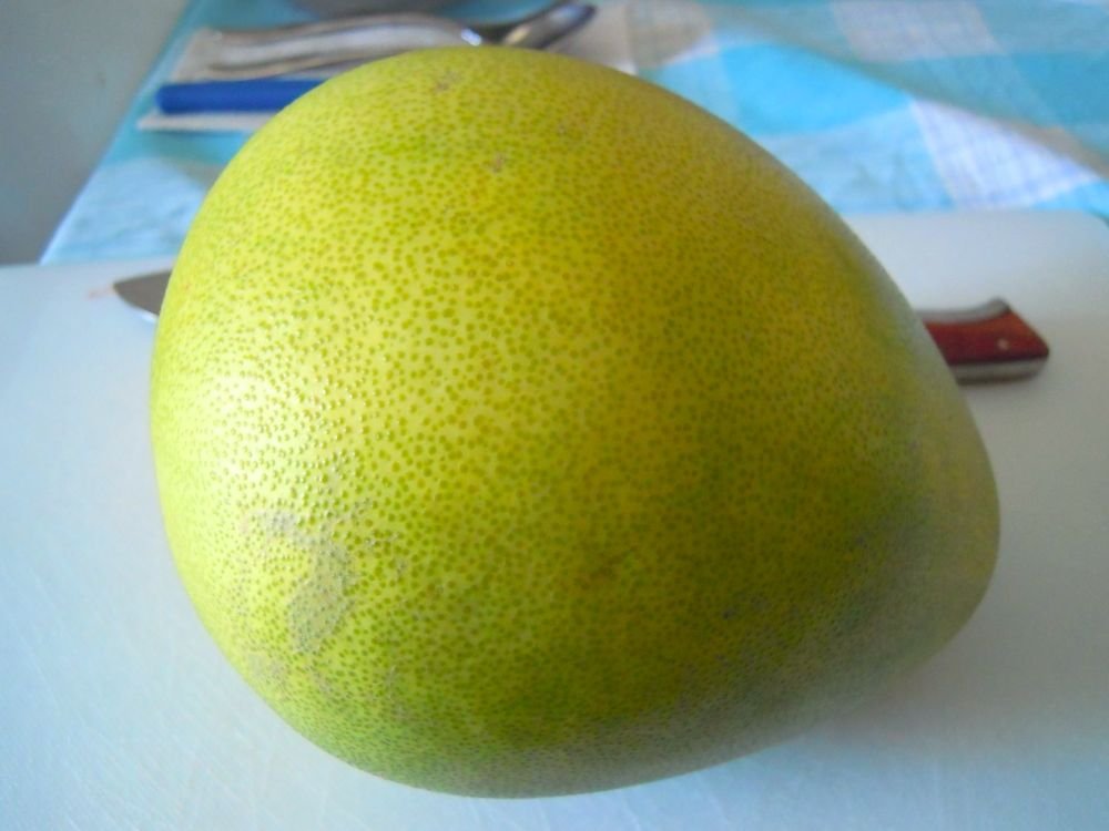 Insalata di polpo, sedano e pomelo - passo 3