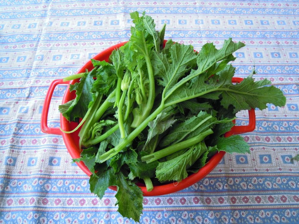 Strascinati e "tadd" ("talli" o "tenerumi") - passo 5