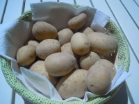 patate novelle per crapiata